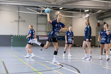 Bild 226 - wBJ HTS/BW96 Handball - Niendorfer TSV : Ergebnis: 27:27